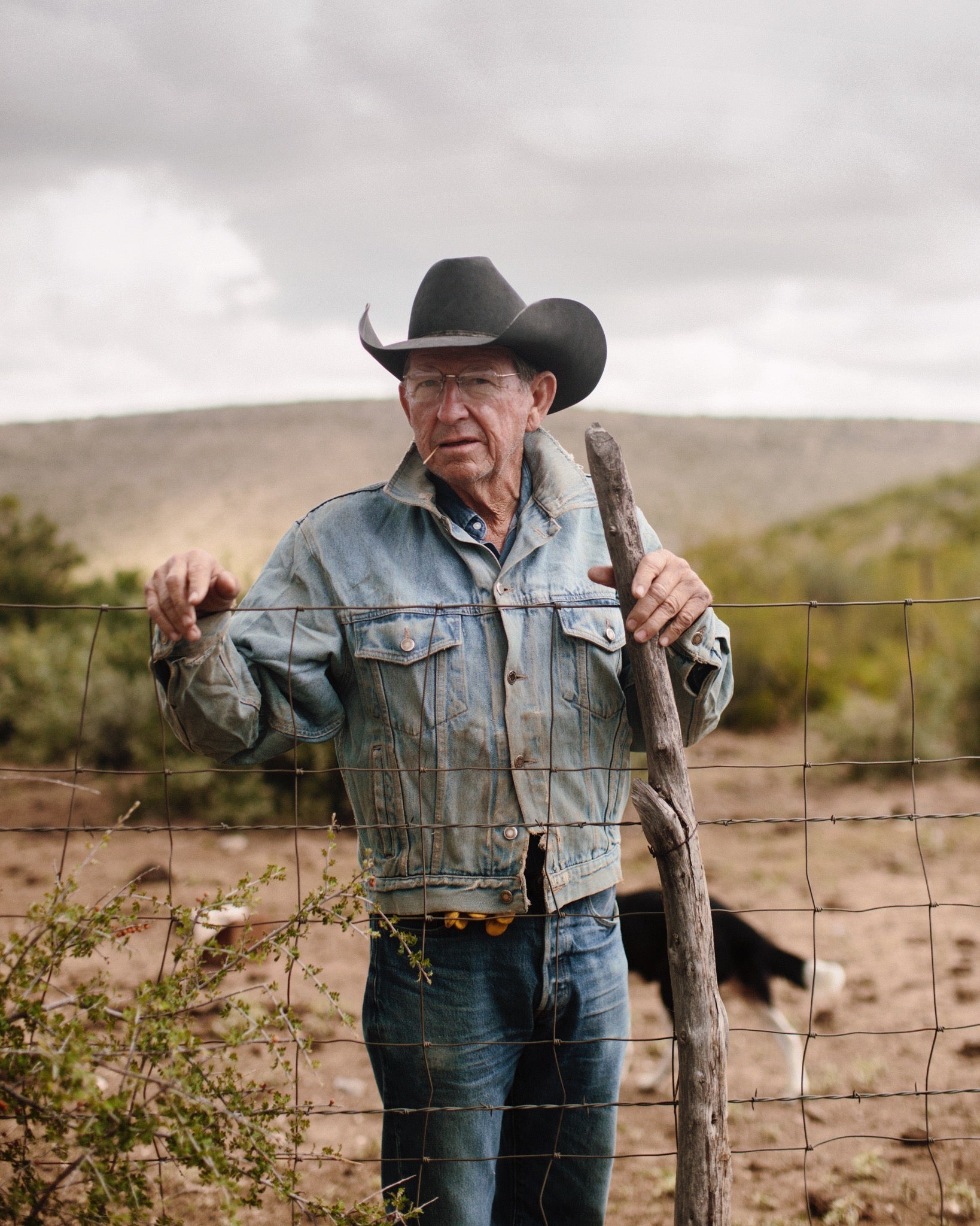 Mike Capron: A Texas Cowboy Artist