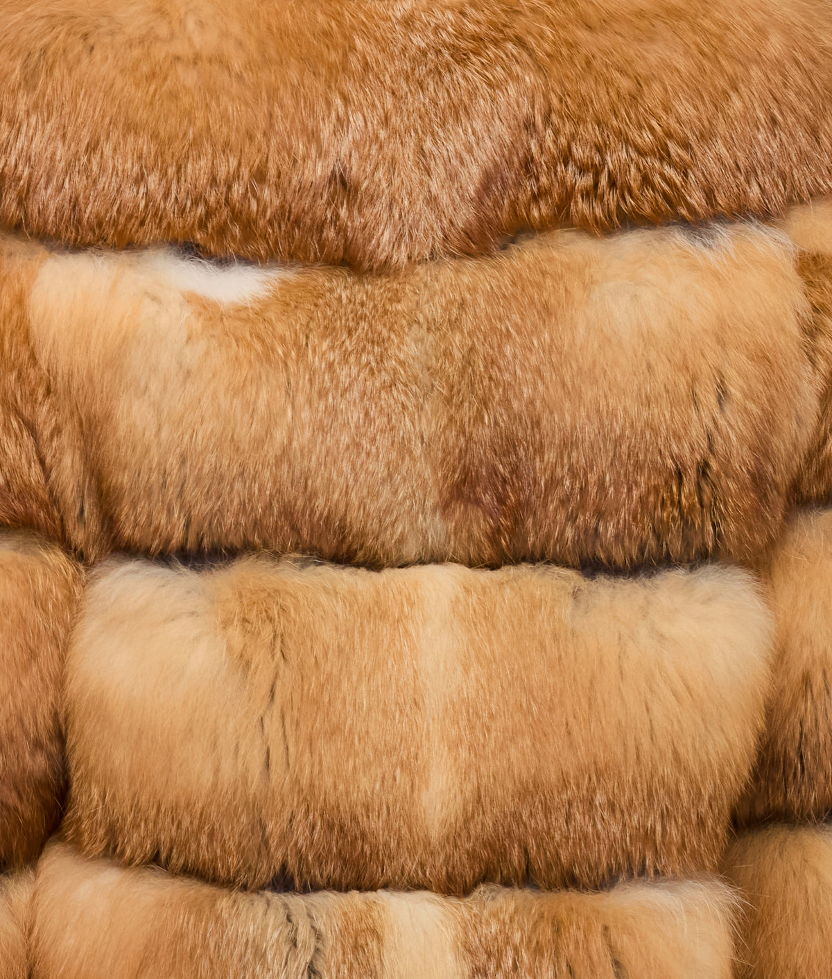 
    Canadian Red Fox Jacket :: Caramel