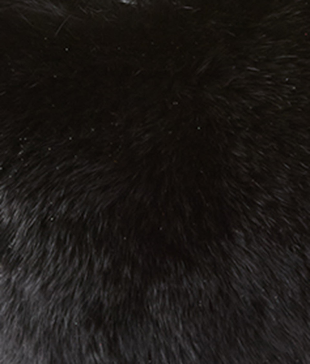 
        Mink Fur Earmuffs :: Black