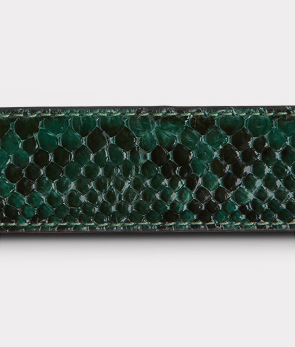 
        Women&#39;s Exotic Mirrored L Belt :: Emerald