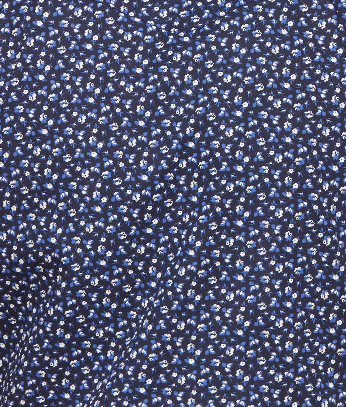 
        Austin :: Blue On Navy Floral Print