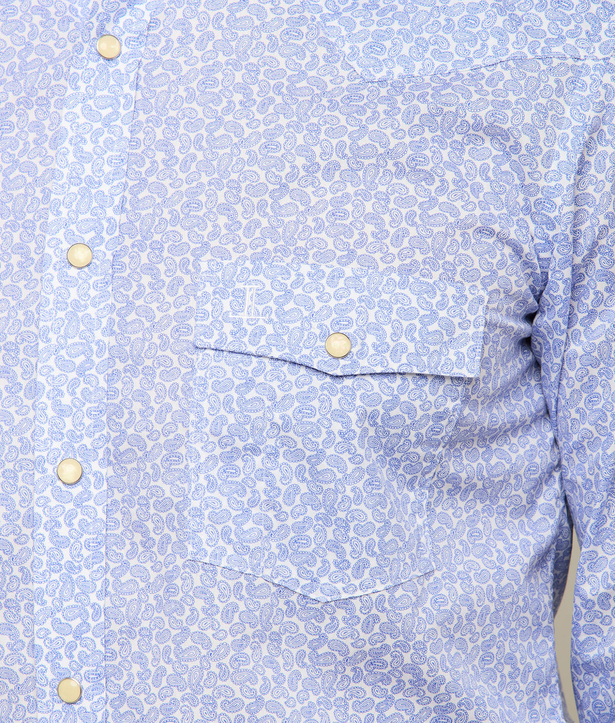 
        El Paso Prints :: Blue Paisley Print