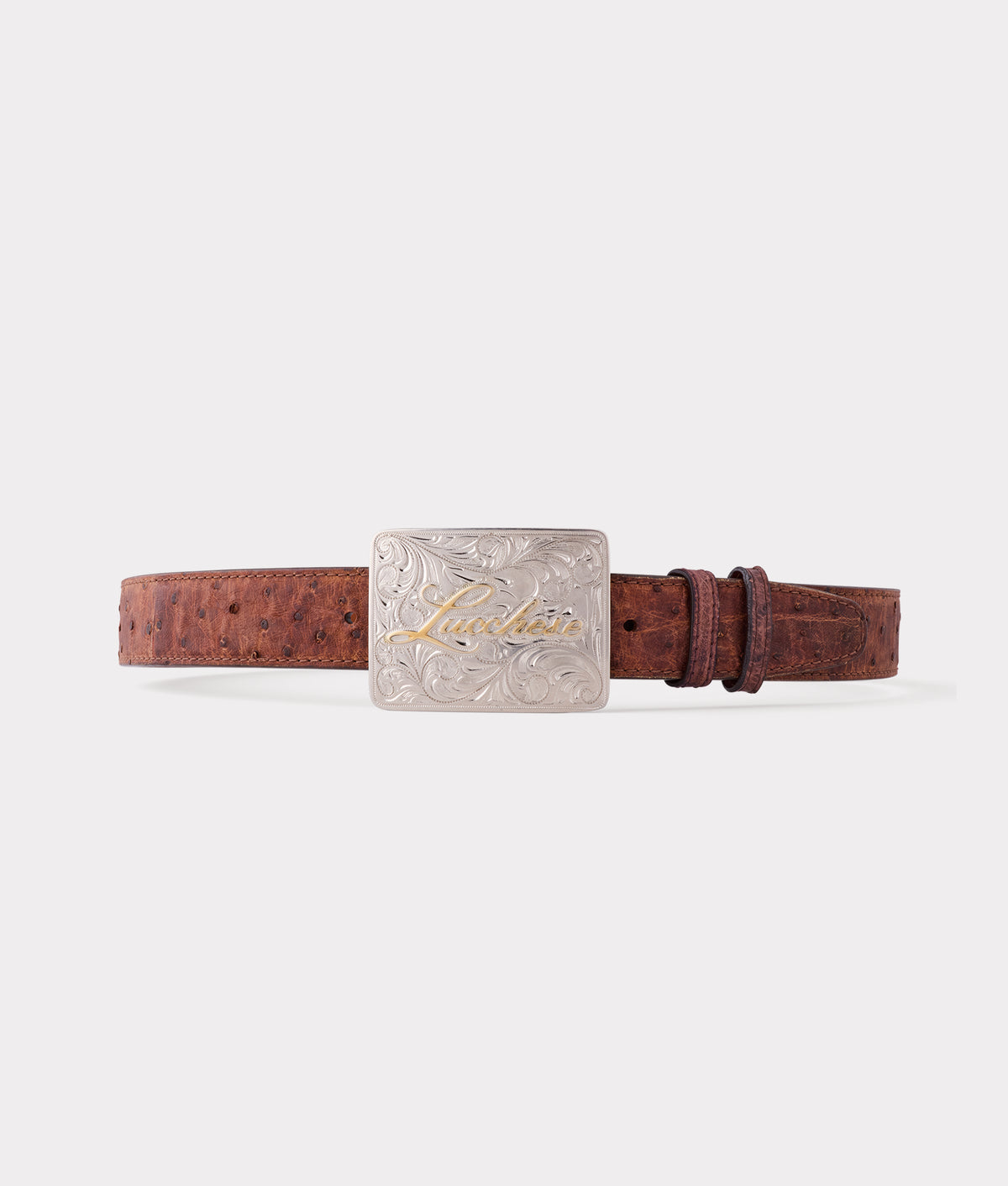 
    Pecan Full Quill Ostrich Memento Belt :: Tan