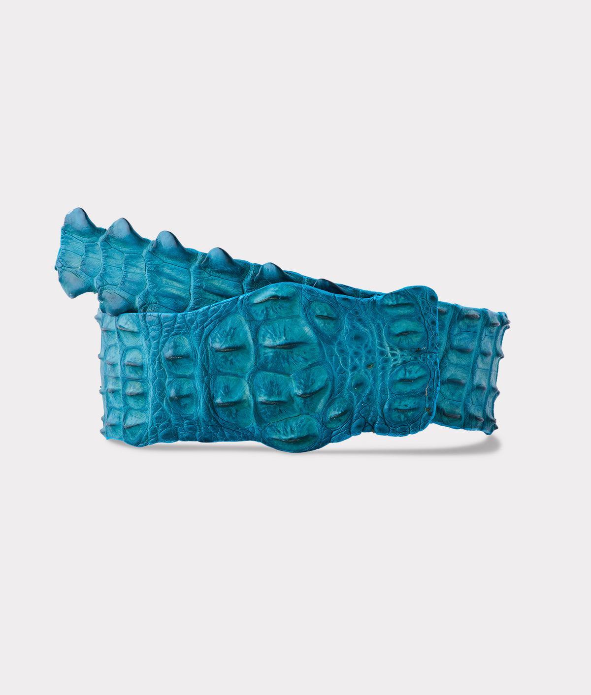 
    Hornback Caiman Belt :: Turquoise