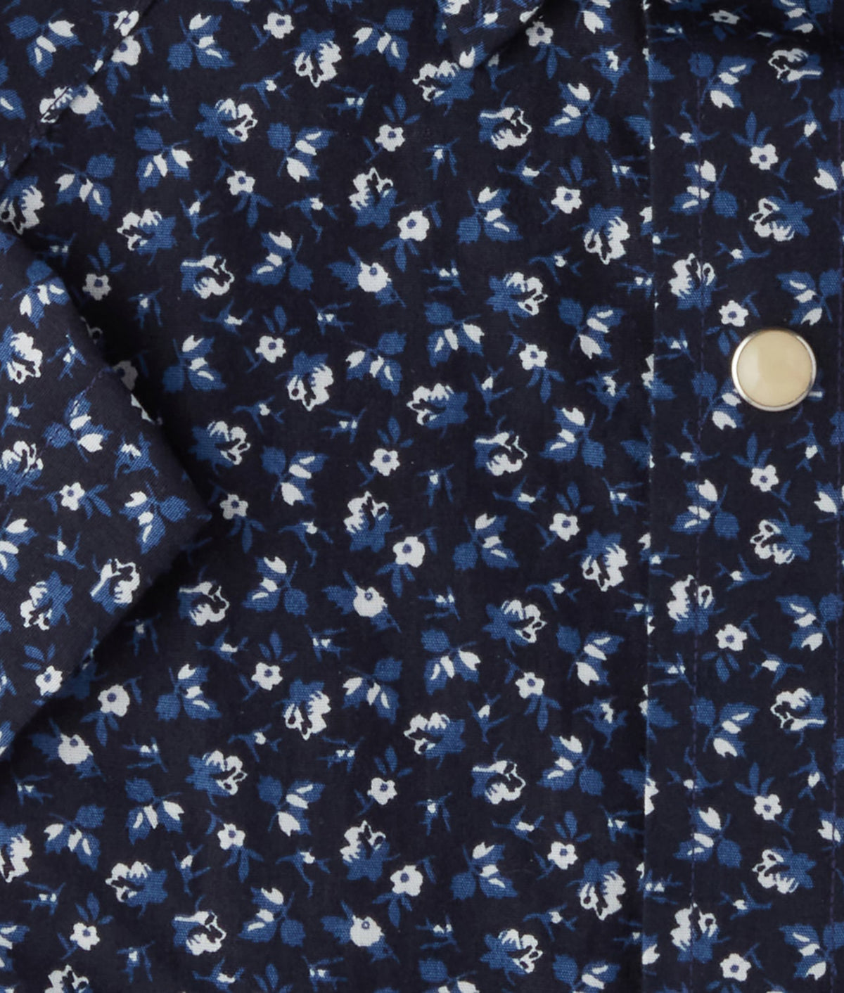 
        Austin :: Blue On Navy Floral Print